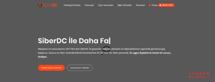 #便宜#SiberDC:$2月付/1核/1G/30G SSD/1Gbps不限流量/土耳其-主机阁