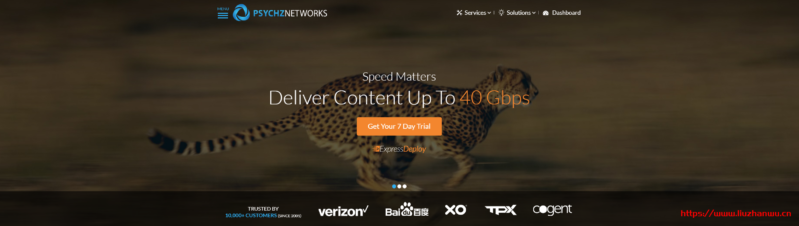 Psychz:$49/月/E3-1230v2/16GB内存/1TB硬盘/不限流量/1Gbps-10Gbps带宽/DDOS/洛杉矶-主机阁