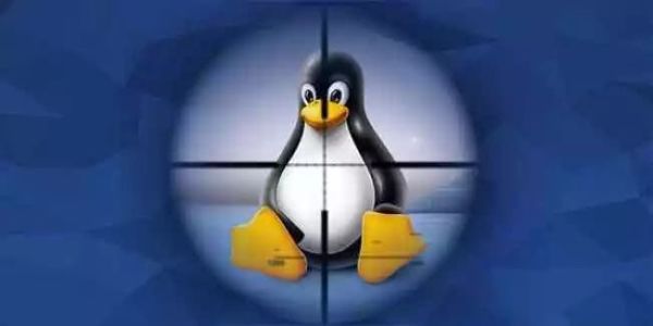 linux 网络安全经验-主机阁