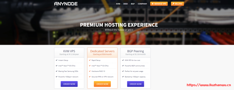 #便宜#anyNode:1核/2G/30G SSD/3T/1Gbps/KVM/拉斯维加斯/年付$15-主机阁