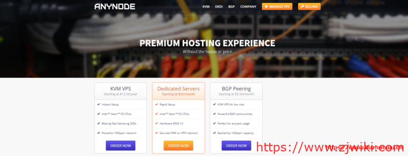 anynode：拉斯维加斯VPS促销$15/年_1核心2G内存/30G SSD/3T流量