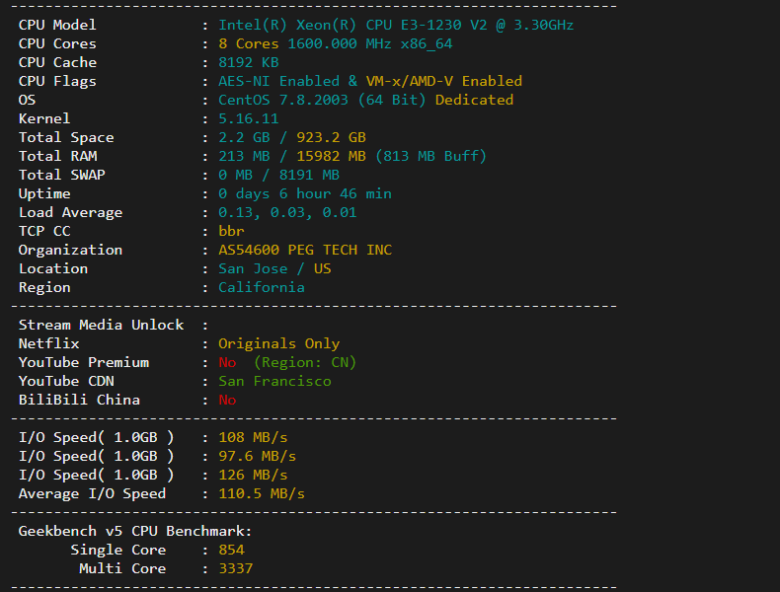 raksmart：美国圣何塞（硅谷）机房独立服务器，大陆优化100M线路（个别地区走cn2线路回国），机器性能/流媒体/线路等测评数据分享