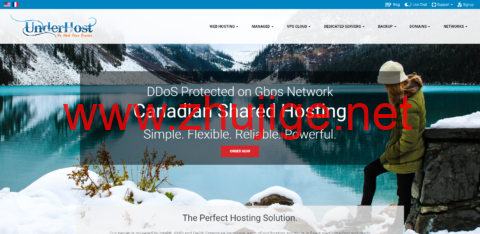 #抗投诉无版权#underhost:荷兰VPS,1核/2G内存/25G nvme硬盘/1TB流量/1Gbps带宽,$59.95/月起-主机阁