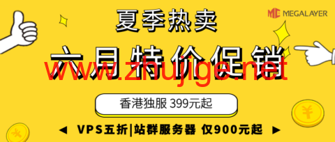 #夏季热卖# Megalayer：VPS五折狂欢，24元/月起，独立服务器399元起，香港站群仅需900元/月！-主机阁