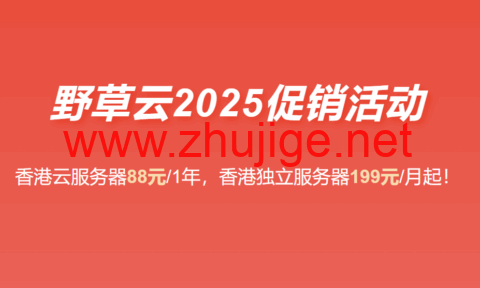 #2025年终促销#野草云：香港VPS主机88元/年起，香港独立服务器199元/月起-主机阁