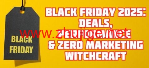 #黑五#ITLDC：不限流量VPS主机5.5折，€21/年起，可选美国/新加坡/荷兰/德国等20个机房-主机阁