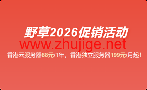 野草云：香港 VPS 88 元 / 年起，优质 / 精品网络可选，100M 不限流量，免费 CNIX，支持主流 AI 访问-主机阁