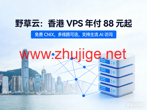 野草云：香港 VPS 年付 88 元起，免费 CNIX，多线路可选，支持主流 AI 访问-主机阁