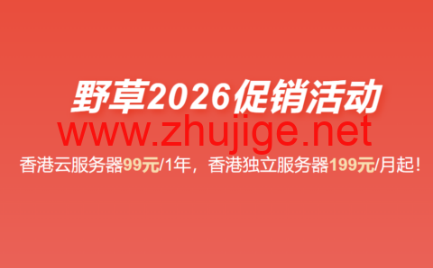 野草云：2026 最新优惠 香港 VPS 年付 99 元起 香港服务器 199 元 / 月 支持国际 / 优质 / 精品网络-主机阁